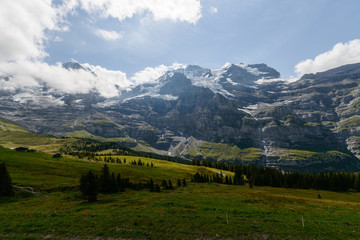 Fototapeta na wymiar Alpine view on a clear summer day in Swiss Alps mountains