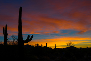 Sonoran desert sunrise