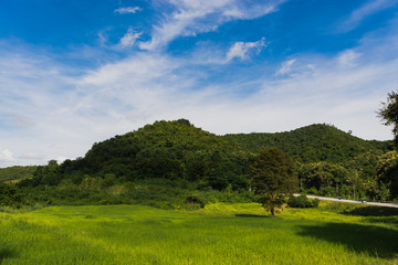 a grassy field with a mountain range in the background and a bright blue sky with white clouds.