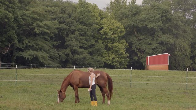 A woman pets a young colt grazing in a field and smiles at camera