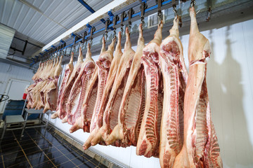 Pig carcasses cut in half stored in refrigerator room of food processing plant.