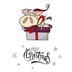 Cute doodle christmas piggy with a gift box. Symbol of 2019 year. Winter holidays. Christmas and new year calligraphy. Hand written modern brush lettering. Hand drawn design elements. Festive card.