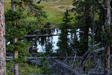 Obraz premium Mountain Pond