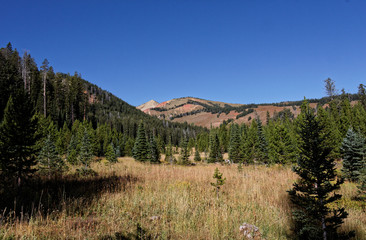 Wyoming Range Landscape