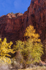 Scenic Zion National Park Utah in Autumn