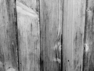 Aged textured pine wood wall close up shot, image for background in black and white.