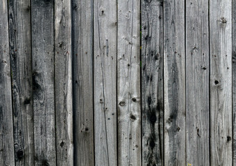 Fototapeta premium old wood texture background