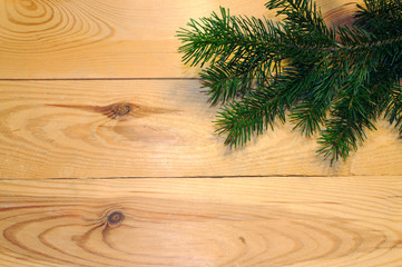 Christmas fir tree branch on wooden background. Xmas background concept