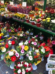 Fototapeta na wymiar vendita fiori mercato fiorista 