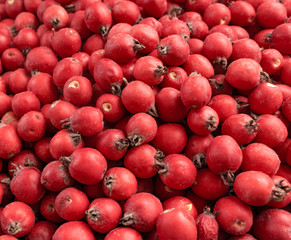 red hawthorn in the market