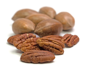 Pekannüsse, Carya illinoinensis, Samenkernhälften