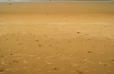 footprints in the sand