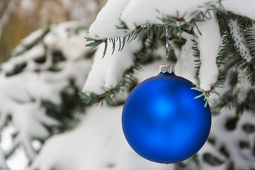 Fototapeta na wymiar Blue Christmas tree ball on a snow-covered tree branch