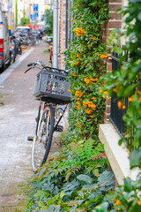 Fototapeta na wymiar Bicycles parked in Amsterdam