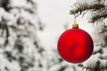 Red Christmas tree ball on a snow-covered tree branch
