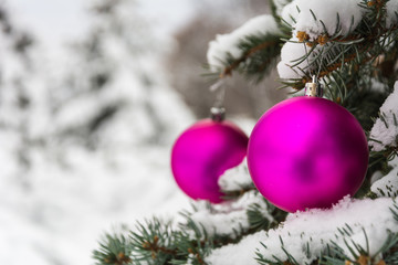 Fototapeta na wymiar Pink Christmas tree ball on a snow-covered tree branch