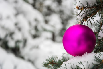 Pink Christmas tree ball on a snow-covered tree branch