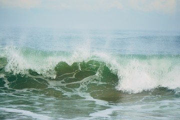 the waves in the beach