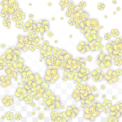 Blue Vector Realistic Blue Petals Falling on Transparent Background.  Spring Romantic Flowers Illustration. Flying Petals. Sakura Spa Design. Blossom Confetti. Design Elements for Wedding Decoration.