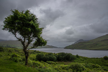 Killary Harbour Fjord