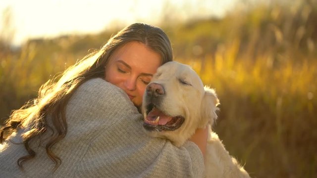 Golden Retriever Labrador Dog With Owner Girl Beautiful Female Woman Playing In Park Outdoors. Summer Autumn Day. Kissing Hugging Love Friendship Of Man With Domestic Animal Pets Nature Landscape Slow