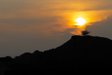 Silhouette of tree on the mountain with sunset and twilight sky in background