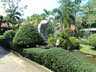 statue of buddha in garden