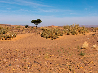 Fototapeta na wymiar Wanderung durch die Wüste Sahara im Süden Marokkos bei Tafraout