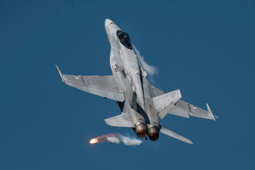 F/A-18 Hornet - obrazy, fototapety, plakaty