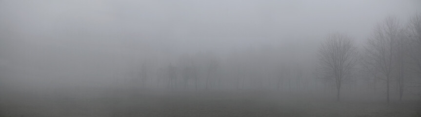 Autumn landscape. Panoramic view of park with thick gray fog