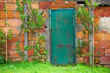 the color wall texture