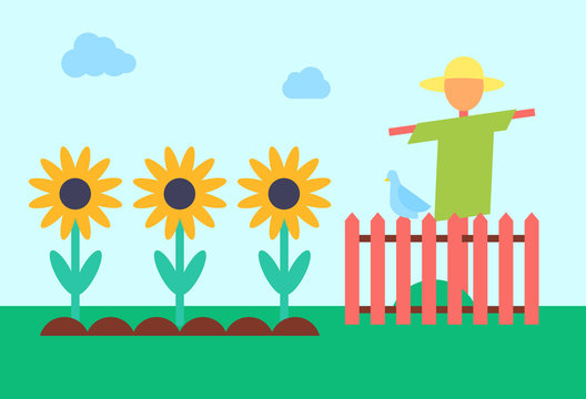 Scarecrow and Sunflower Field Vector Illustration