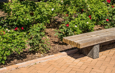 Brown bark mulch covering flower bed with pink roses in public park in summer close up side of a garden bench.