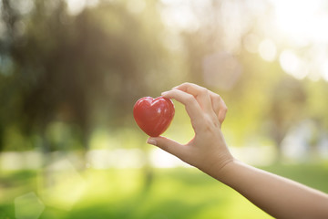 Woman hands holding red heart
