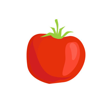 Red Tomato Isolated Vector Icon in Cartoon Style