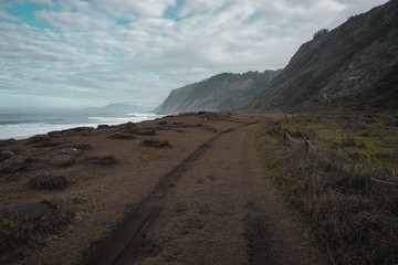 the beach and coast in the nature