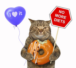 The cat holds a sign " no more diets ", a blue balloon and a bitten apricot donut. White background.