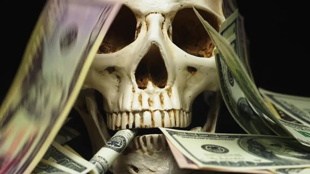 human skull in a pile of American currency