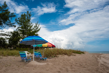 bunte sonnenschirme am strand in florida