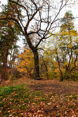 beautiful autumn landscape with lake