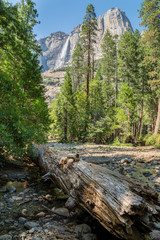flusslauf mit baumstamm und wald mit wasserfall im hintergrund, Yosemite National Park,...