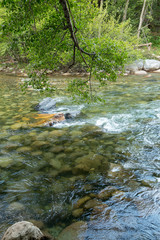 flussufer mit kiesboden und überhängendem Baum, sequoia national park, kalifornien, usa