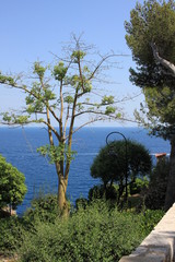 2018 07 - road trip 317