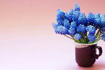 Creative layout made with muscari flowers on bright pink background. Spring minimal concept.