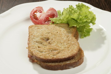 A shot of a slice of bread with a tomatoe and some salad on the side