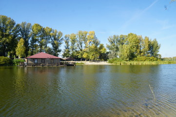 Obraz premium Golden autumn