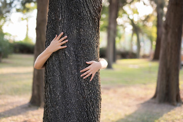 Closeup hands of woman hugging tree with sunlight