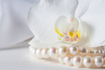 Fototapeta na wymiar Orchid flower with a pearl necklace.