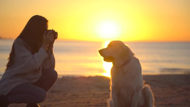 girl taking pictures dog. Woman traveler female photographer photographing, making photo of golden retriever labrador at sunset. nature outside summer sea beach outdoors. Travel tourism happy holidays