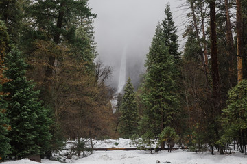 Yosemite Fall waterfall in national park
